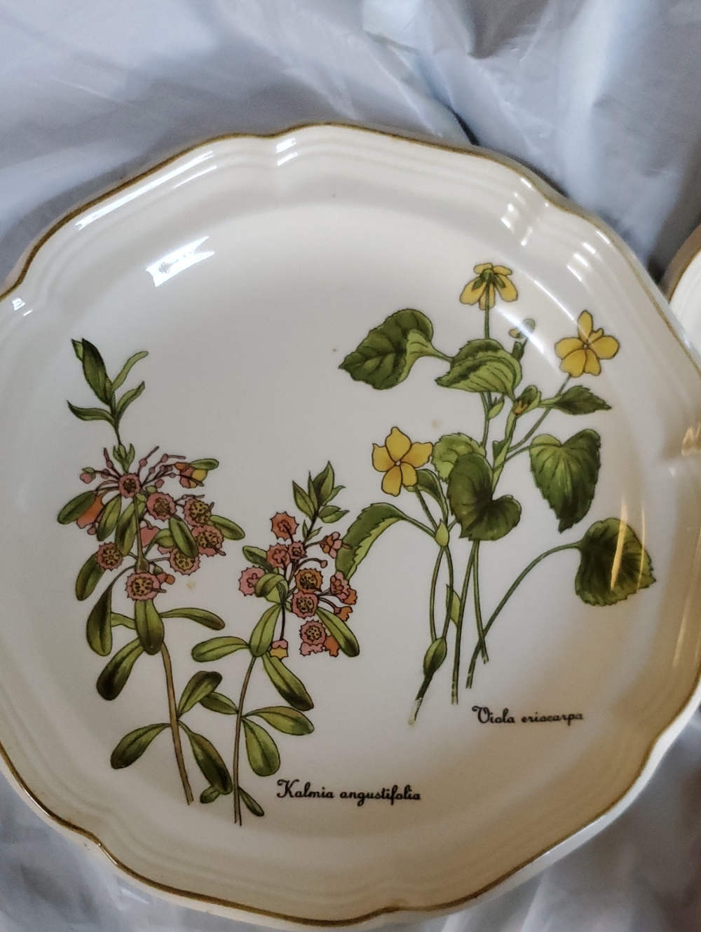 Sangostone Vintage Gardners Choice Cream Floral Scalloped Plates 7.5"- Set of 2